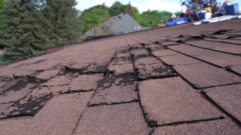 Best Flat Roofing  in Seven Fields, PA