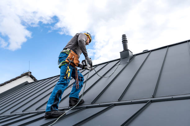 Best Sheet Metal Roofing  in Seven Fields, PA